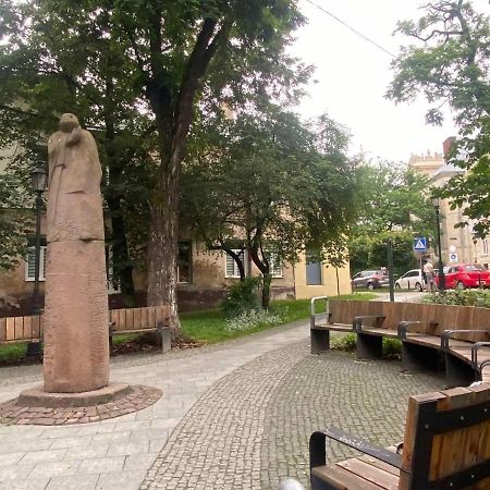 Izuminka V Centre Goroda Lviv Exterior photo